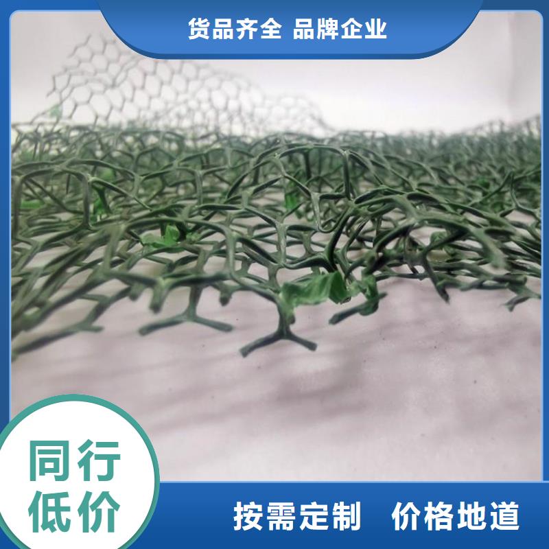 三维植被网实业公司