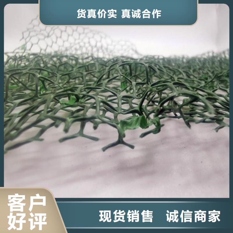 三维植被网价格