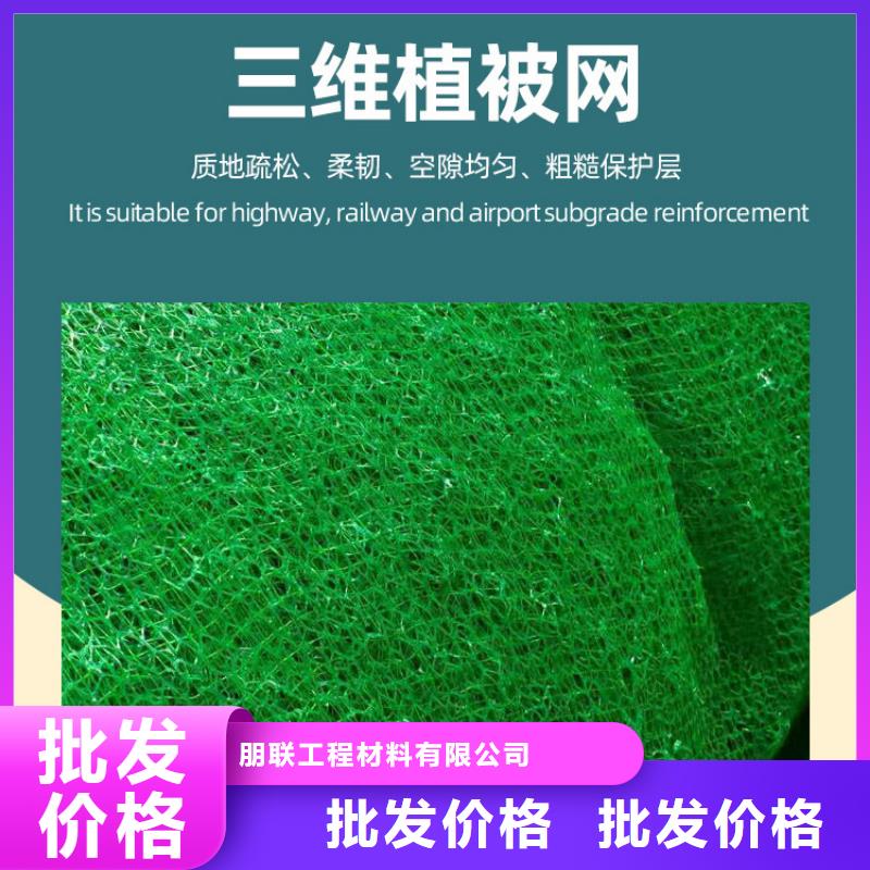 三维植被网护坡土工网厂家