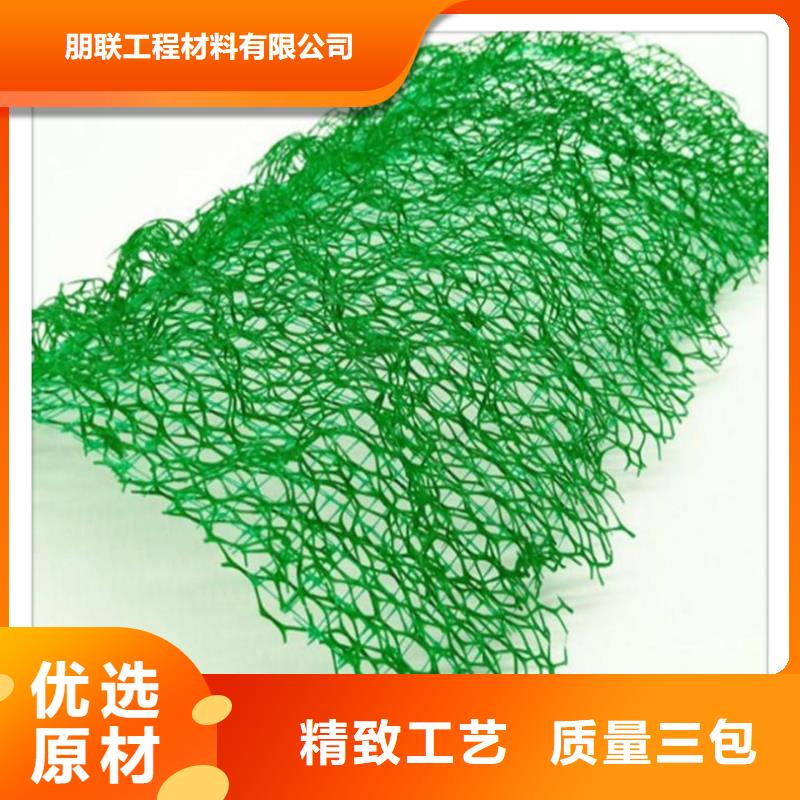 三维植被网 【防护虹吸排水收集系统】拒绝差价同城厂家
