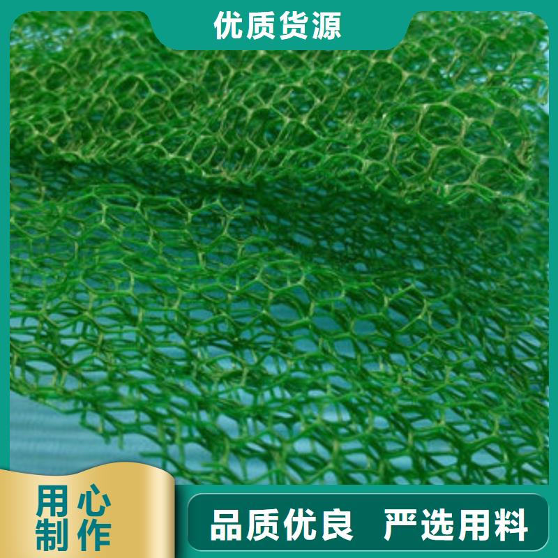 三维植被网_防护虹吸排水收集系统好货有保障