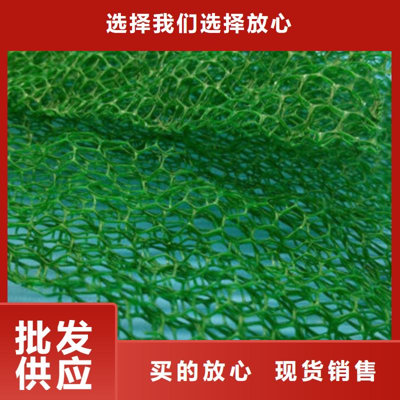 三維植被網植草格專業按需定制