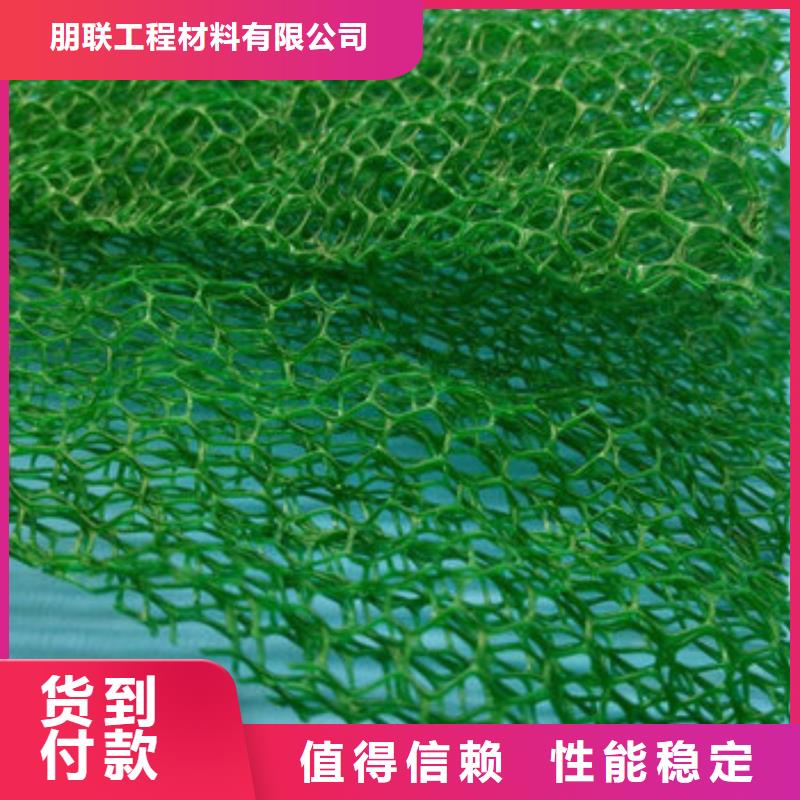 三维植被网排水板质量无忧