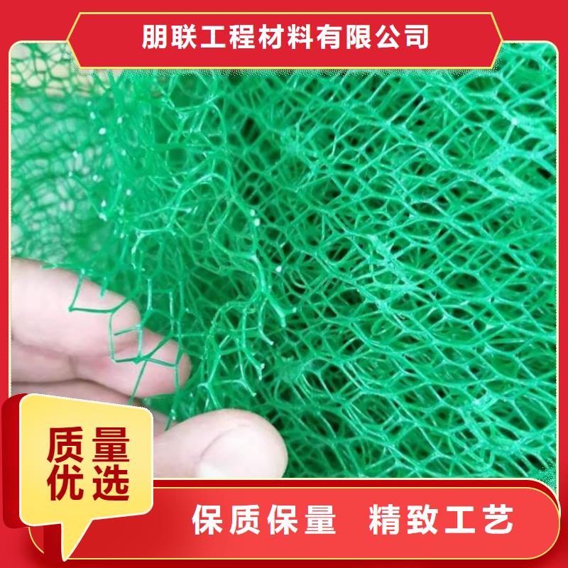 三维植被网排水板采购