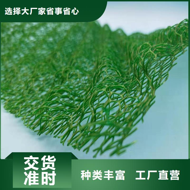 三維植被網植草格專業按需定制