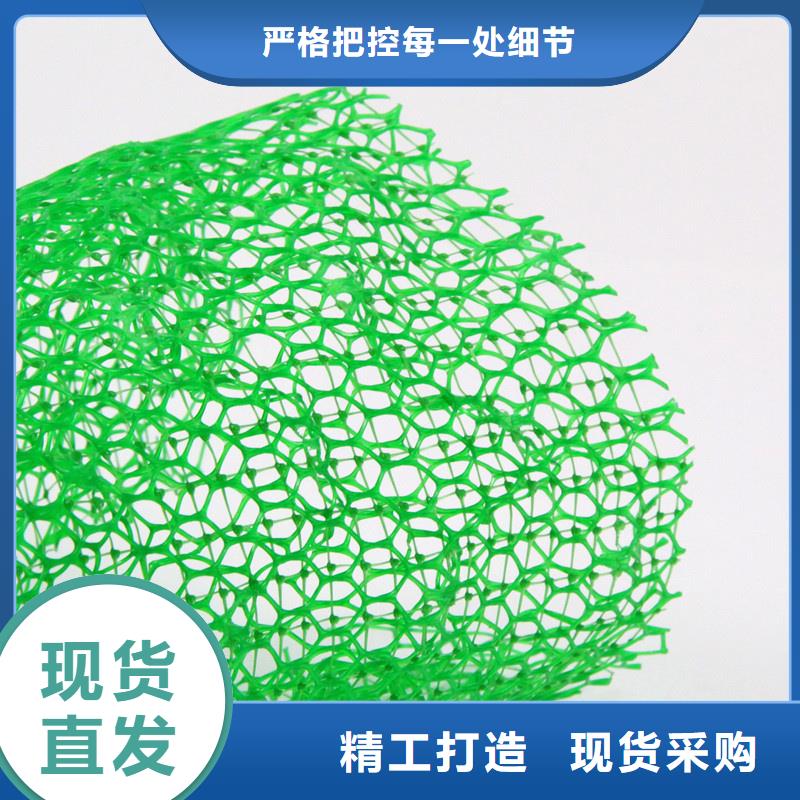 三维植被网排水板采购