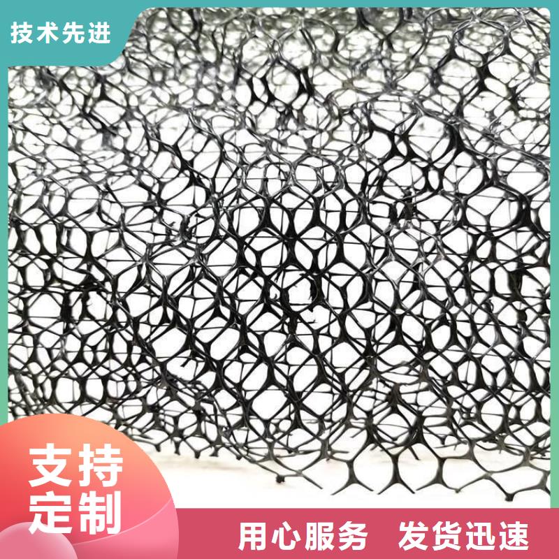 三维植被网-【 植草格】高质量高信誉
