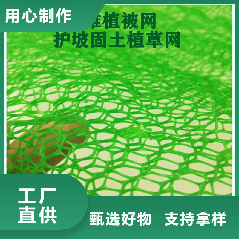 三维植被网,水泥化粪池实力工厂