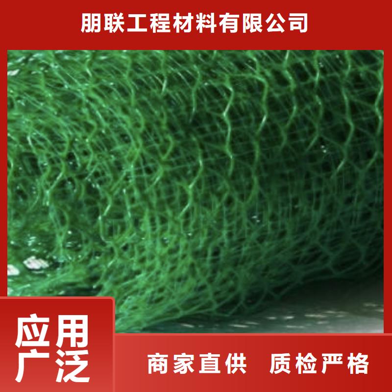 《三维植被网三维土工网垫》_朋联工程材料有限公司