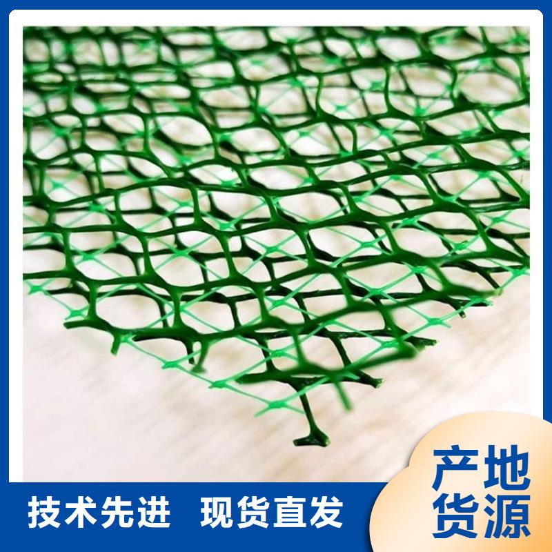 广州定做三维土工网垫本地供货商