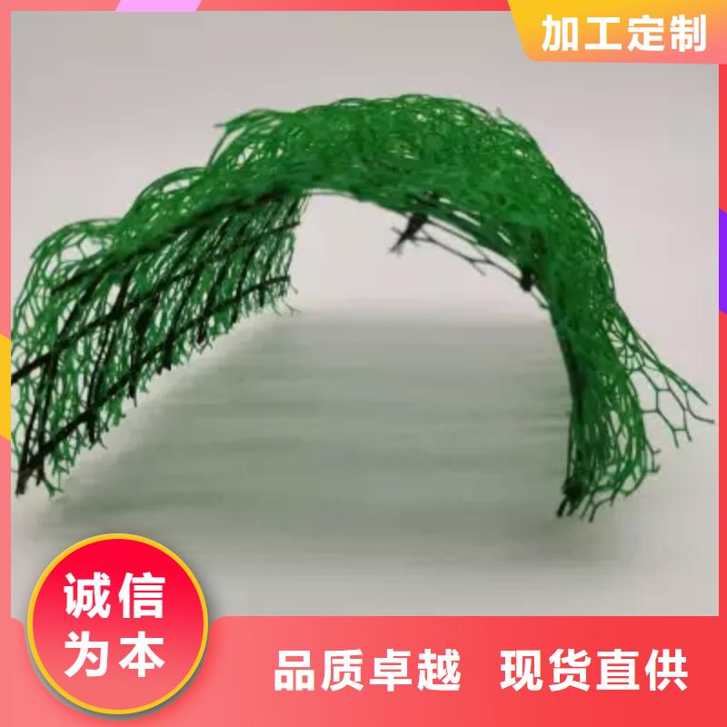 【湛江】找三维植被网本地供货商