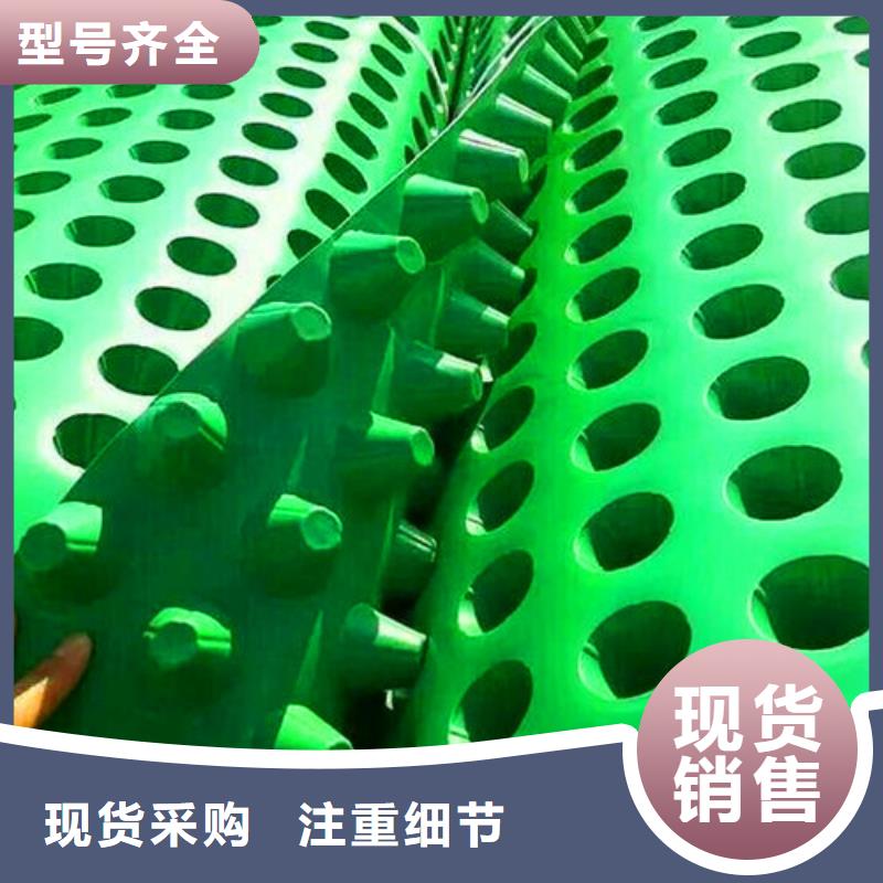 香港生产型秉薪排水板【疏水板】专业按需定制