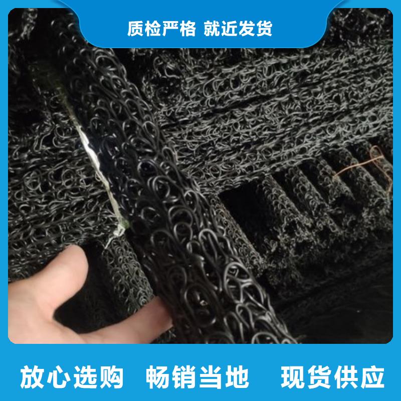 塑料盲沟滤水板买的放心安兴用的舒心