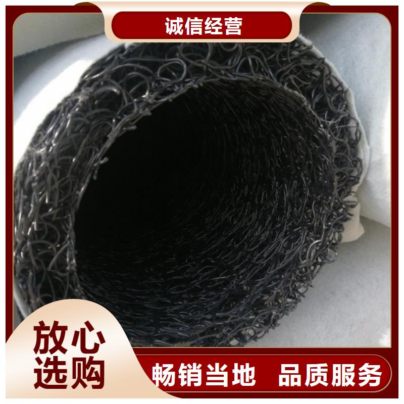 【塑料盲沟】-滤水板质量无忧-秉薪工程材料(亳州市分公司)-企业旺旺