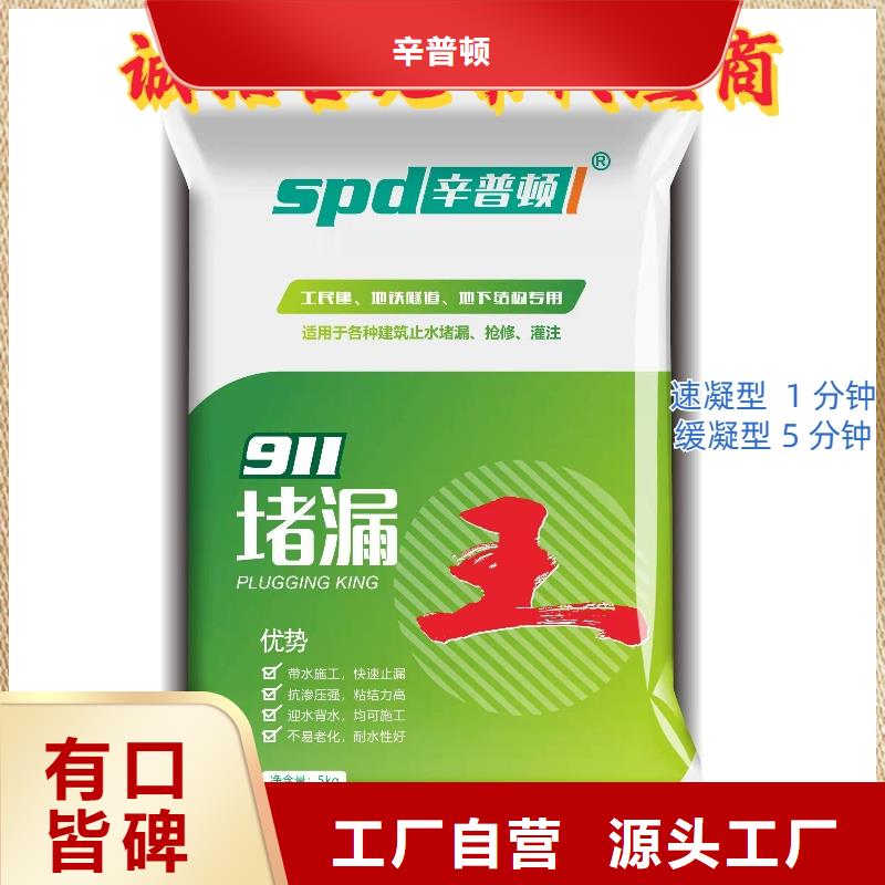 速凝堵漏王