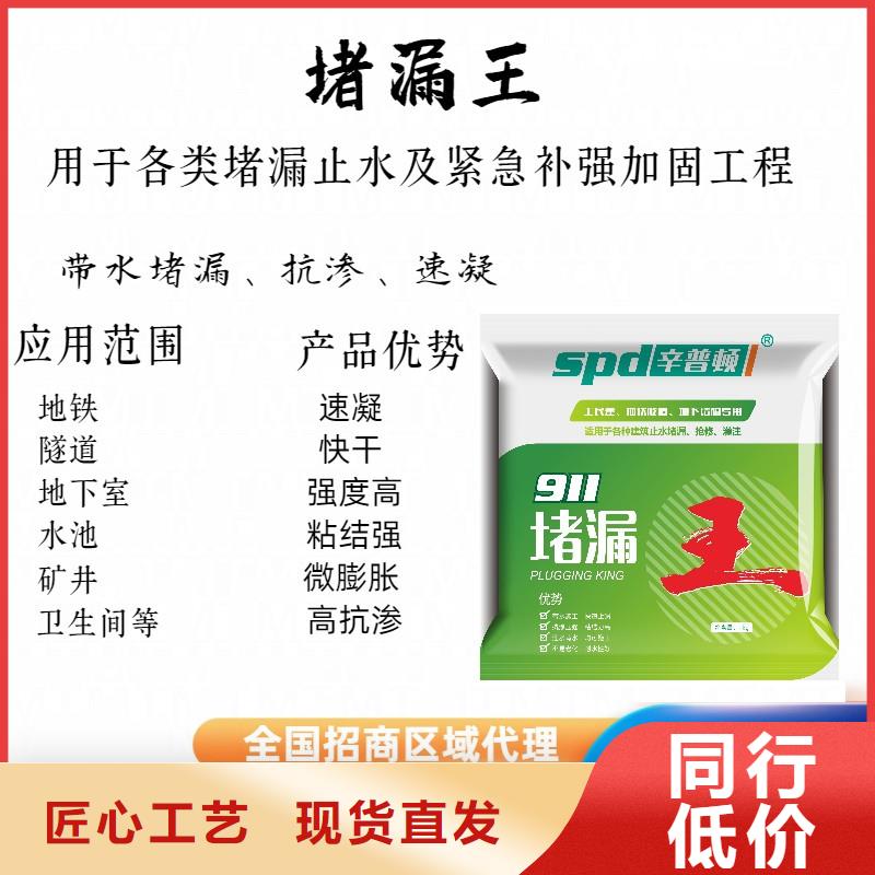 速凝堵漏王厂家价格