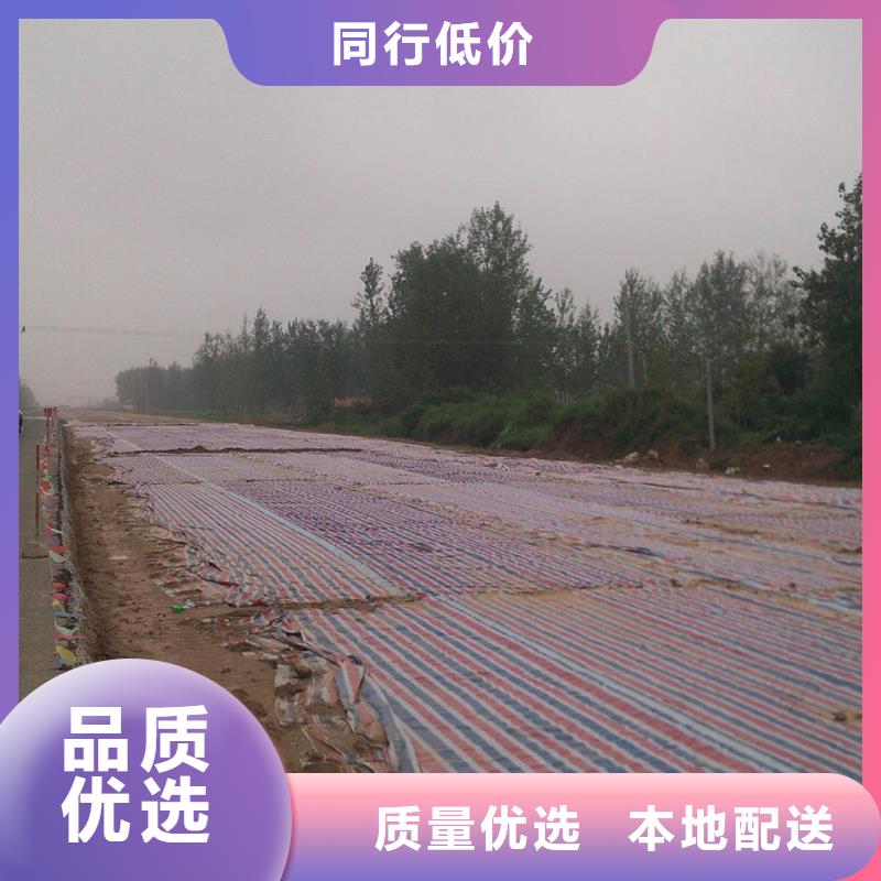 彩条布塑料雨布彩条布现货批发