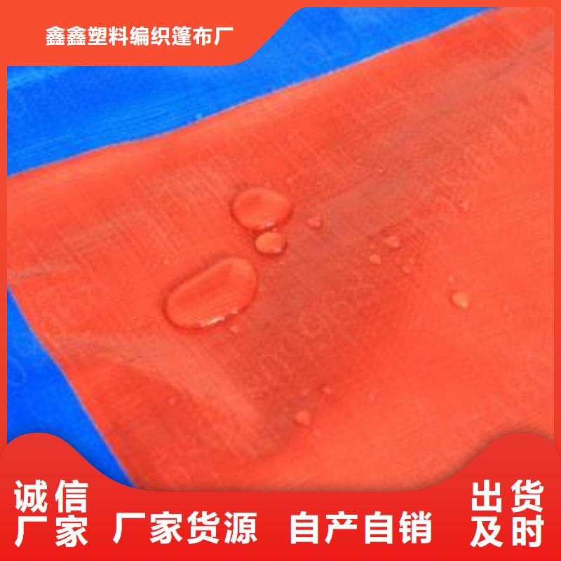 防雨布跨境pe篷布品质之选