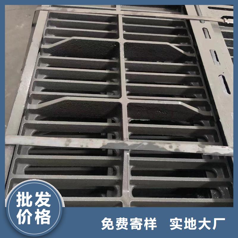 300球墨鑄鐵單片實體廠家