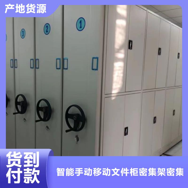 创造辉煌【泽信】古籍书库樟木密集柜