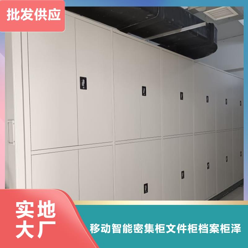 別拘一格【澤信】檔案資料管理密集柜