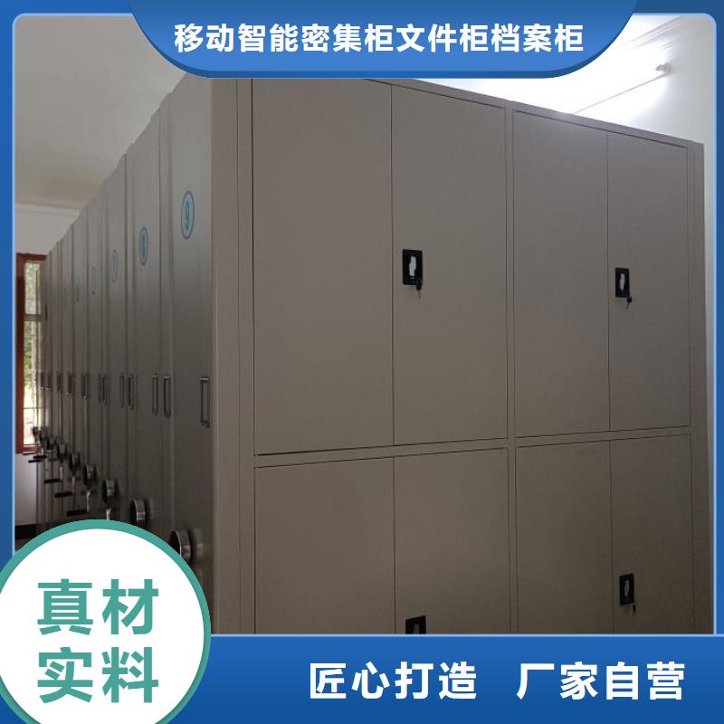 别拘一格【泽信】档案资料管理密集柜