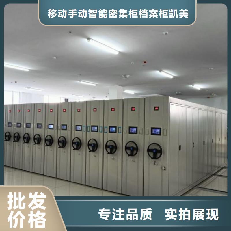 咨询服务【凯美】香樟木密集架