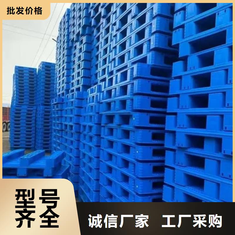 规格全的仓库塑料垫板实体厂家