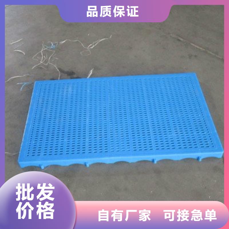 本地的塑料垫板图片实体厂家