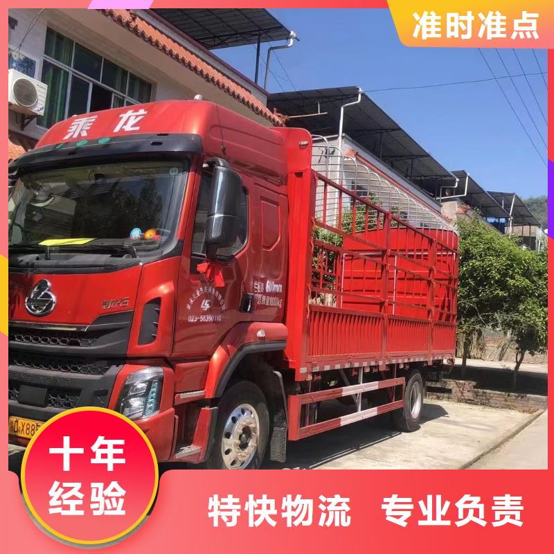 漳州咨询到重庆货运回程车整车运输公司,需要的老板欢迎咨询价格优惠