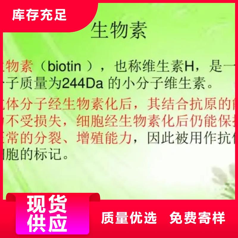 D-生物素厂家