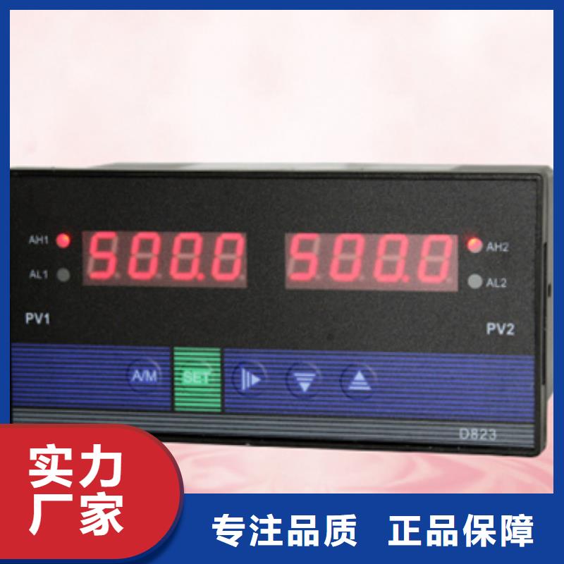 YPD-U-V2-P2-O1、YPD-U-V2-P2-O1厂家直销-诚信经营