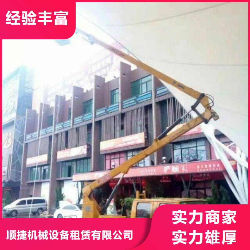 路灯车_【吊篮登高车】诚信当地品牌