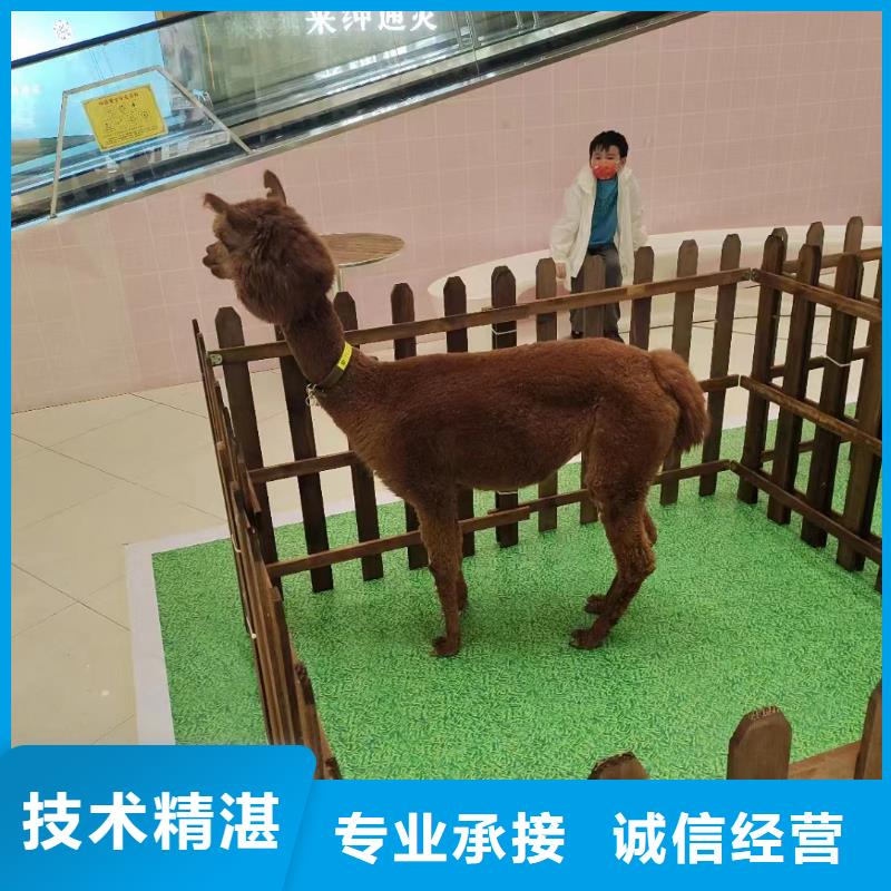 動物展出租