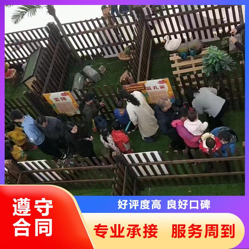 哪里有租赁动物的庆典活动