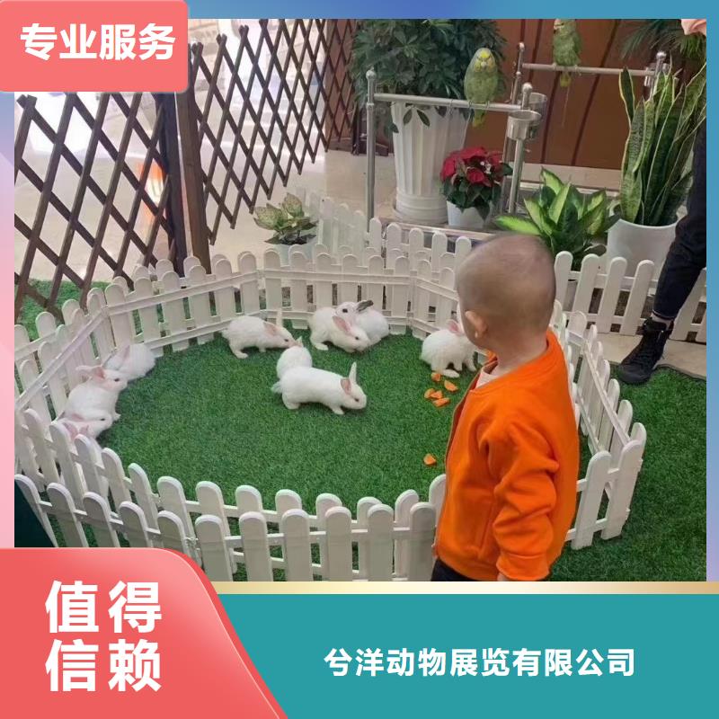 大飞轮表演租赁活动方案