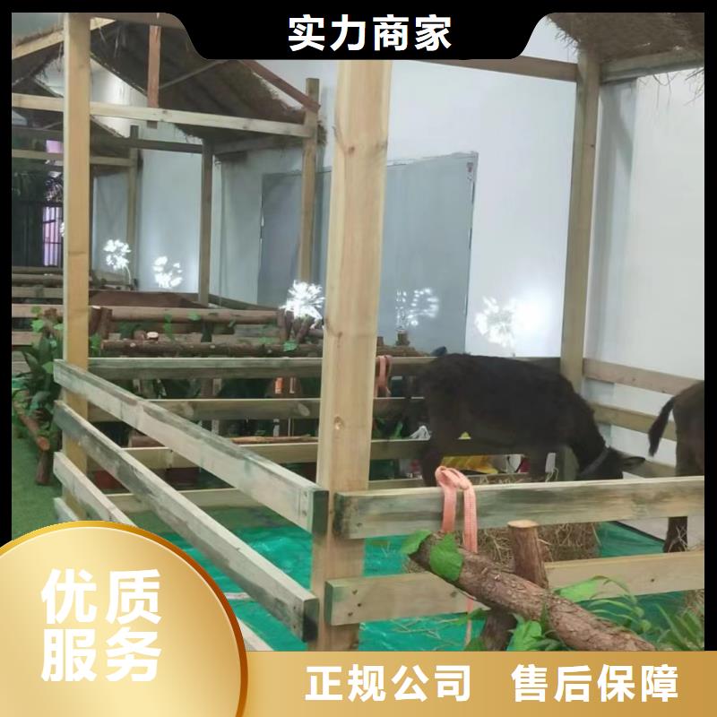【馬戲團/羊駝【企鵝表演出租】一對一服務】