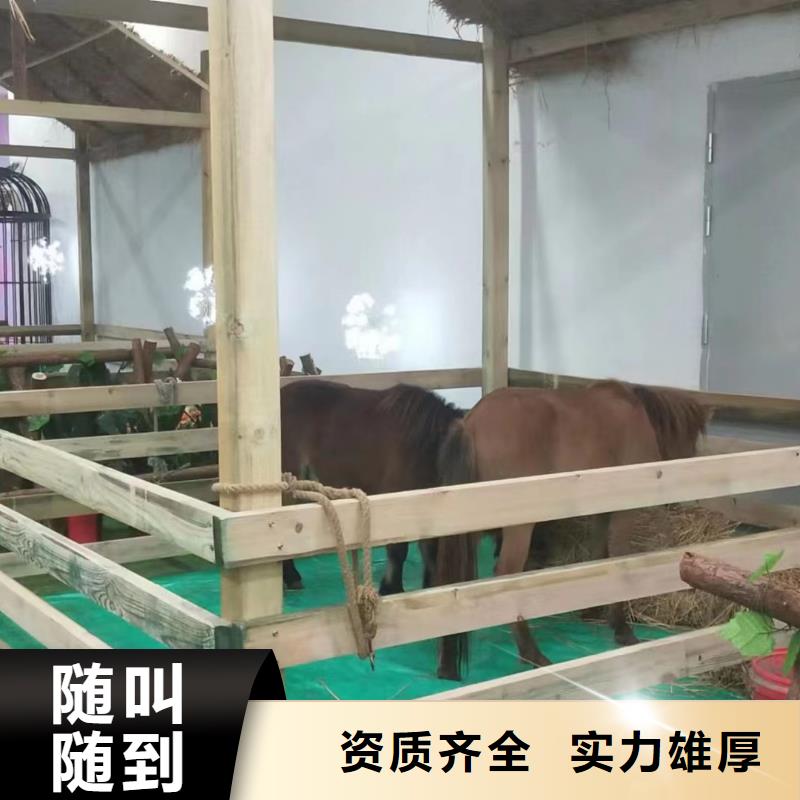 马戏团/羊驼_表演动物出租全市24小时服务
