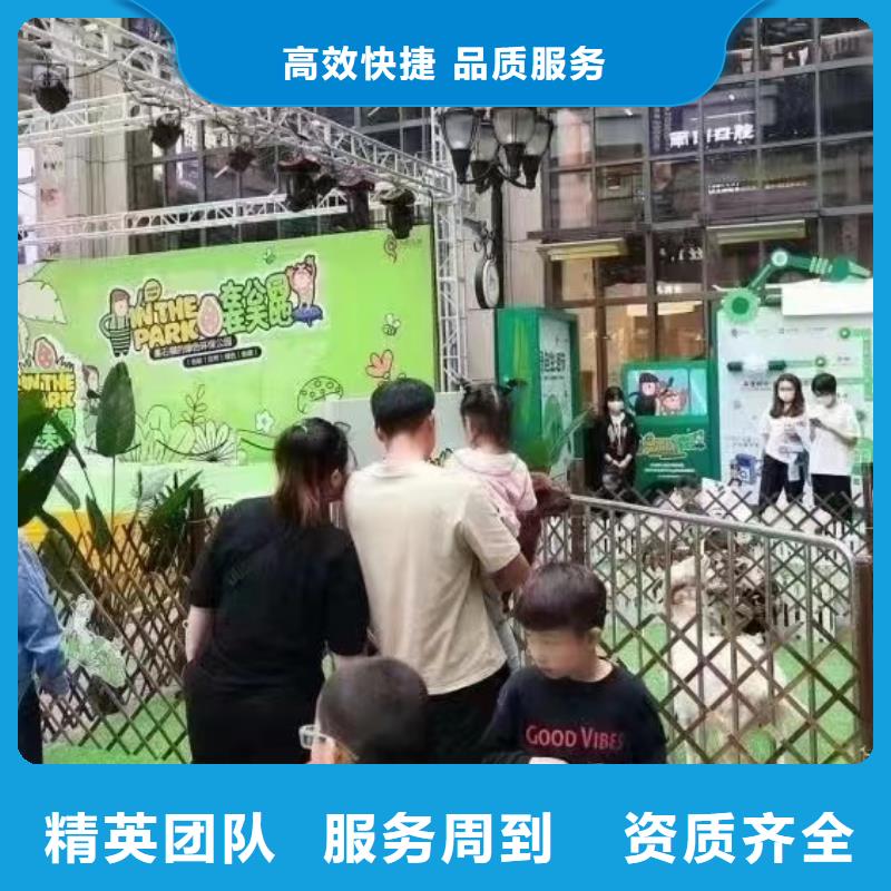 马戏团/羊驼【海狮租赁表演】专业公司