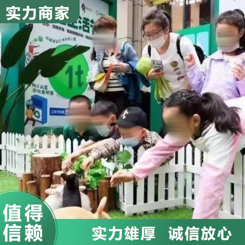 馬戲團(tuán)/羊駝企鵝出租實(shí)力雄厚