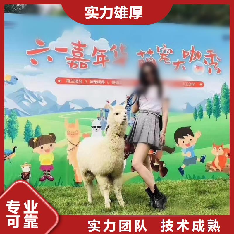 馬戲團/羊駝-美人魚表演遵守合同