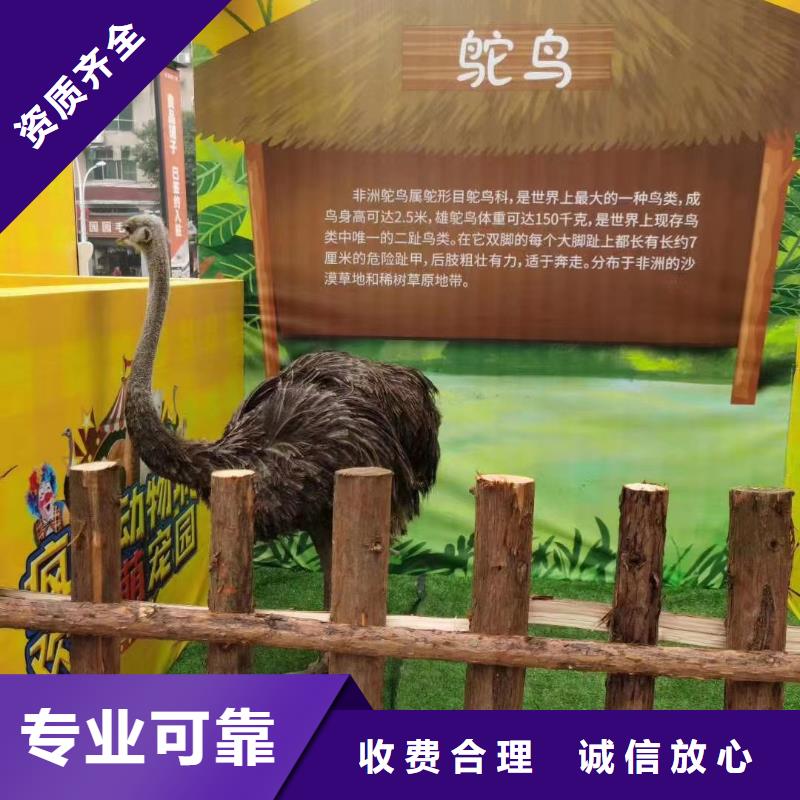 動物展出租圖片