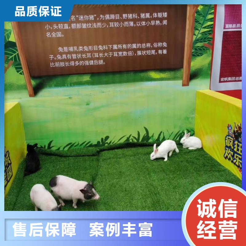 马戏团/羊驼小香猪宠物出租全市24小时服务