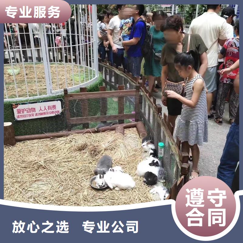 出租表演马戏团活动图片
