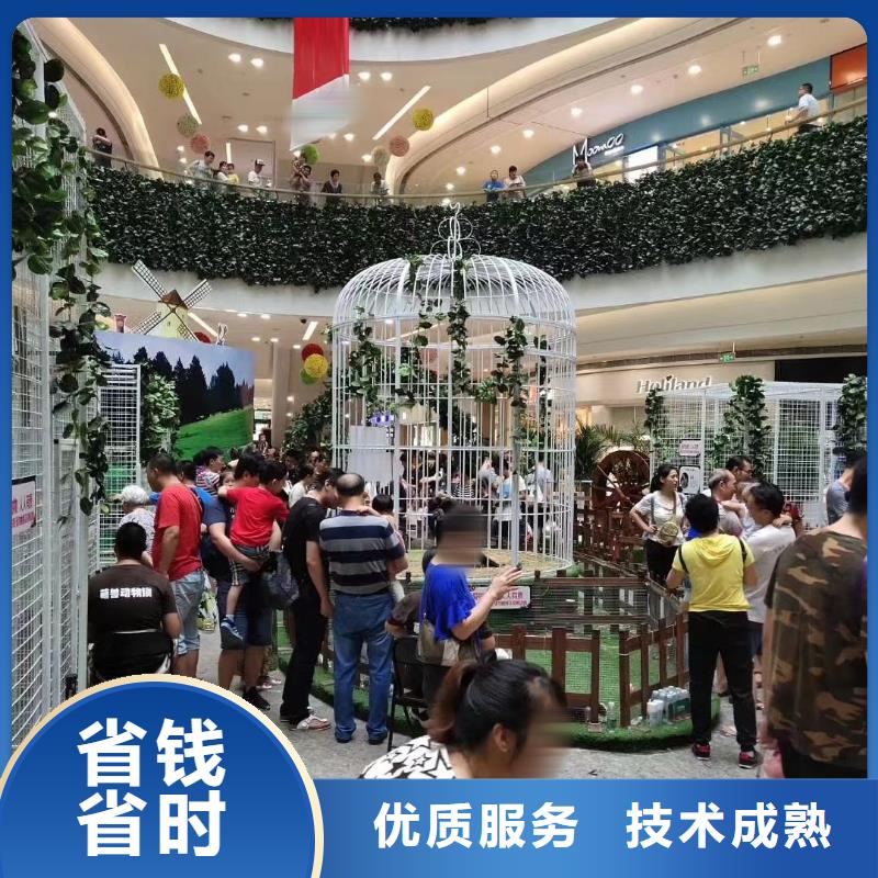 马戏团/羊驼租赁美人鱼表演值得信赖