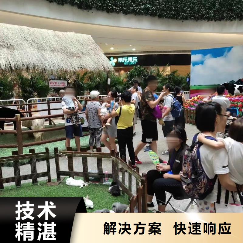 马戏团/羊驼羊驼出租技术比较好