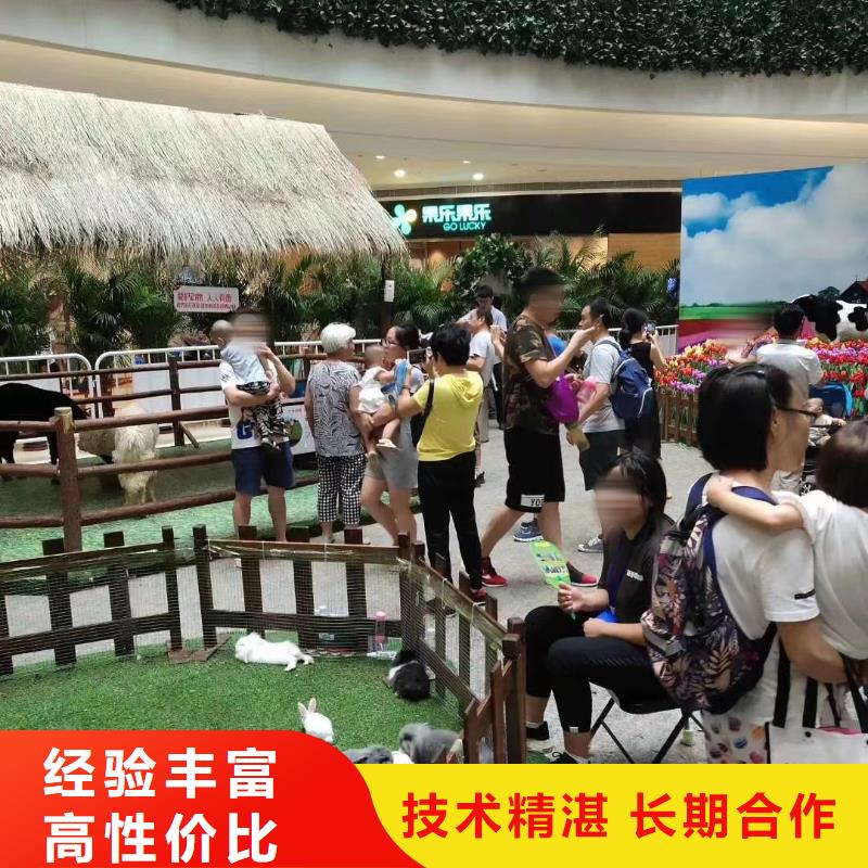 马戏团/羊驼 海狮表演出租先进的技术