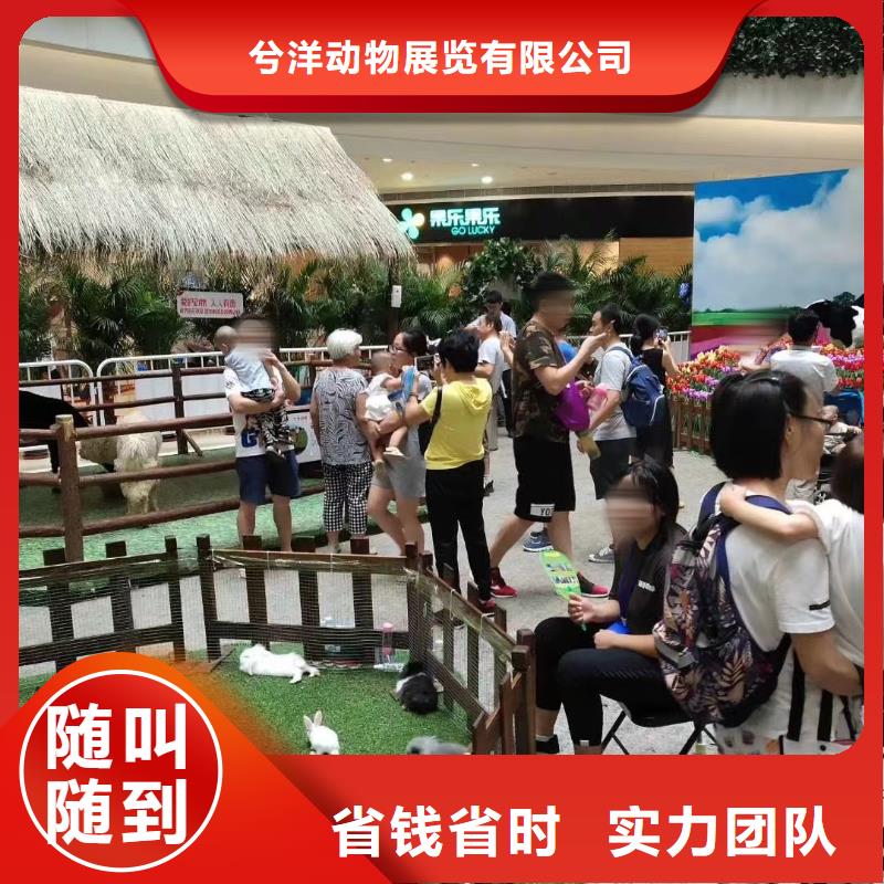 马戏团/羊驼海洋展租赁质优价廉