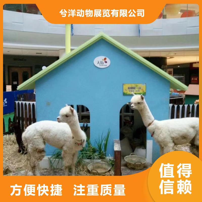 動物展出租