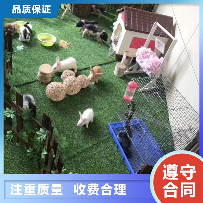 美人鱼表演视频-美人鱼表演(兮洋)覆盖地域湖北省十堰市竹山|张湾|恩施|随州|荆门|鄂州